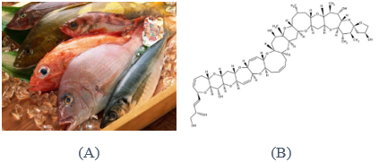 Certain-fish-species-may-contain-marine-biotoxins-Barracuda-snapper- sturgeon-sturgeon-goby-amberfish-grouper-scad-fingernail-ciguatoxin-causes-CFP-poisoning